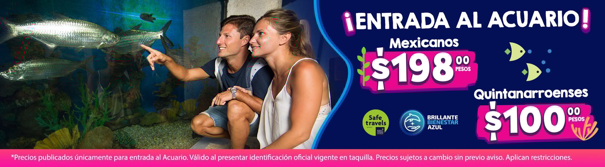 Aquarium Cancún El Único Acuario Interactivo en Cancún